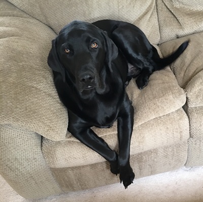 Bella