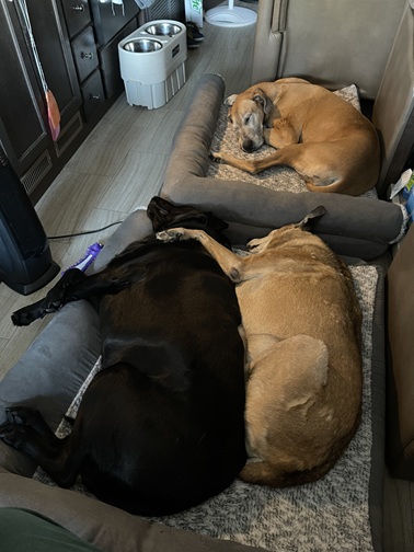 Georgia and Bella