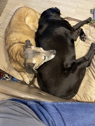 Georgia and Bella