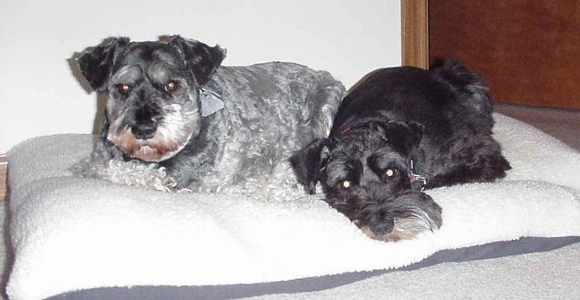Suzie and Reggie